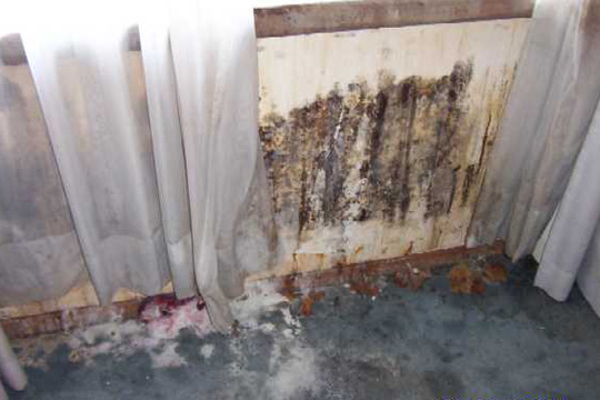 Panel 4