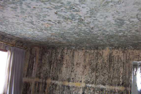 Panel 6