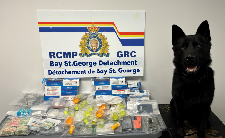 A photo of drugs, drug paraphernalia, and various evidence seized in evidence bags sits in front of cartons of contraband cigarettes and a sign that says: RCMP GRC Bay St. George Detachment. RCMP NL Police Service Dog Marlow sits next to the items. 